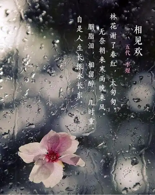 【国学说】解读诗词——李煜《相见欢》:林花谢了春红,太匆匆