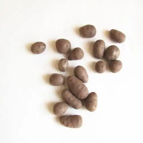 铁棍山药豆 2.5斤