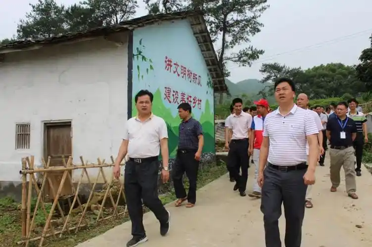 【县乡人大】英德白沙镇:人大代表真问实督助推农村人居环境整治工作