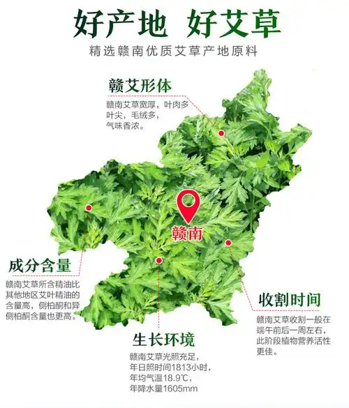 精油欢迎拿样艾草真货蒸馏型艾叶油艾单方挥发按摩温熏调理器