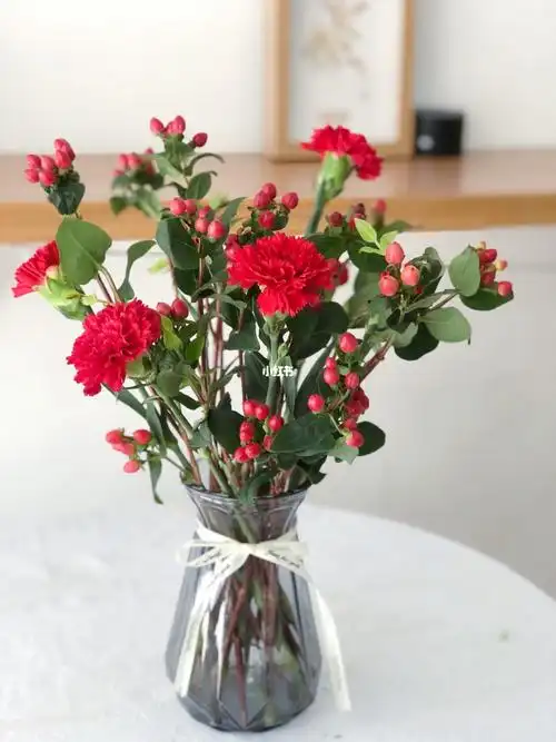 每周一花红豆火龙珠