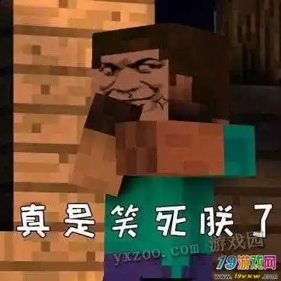 来一波我的世界史蒂夫表情包