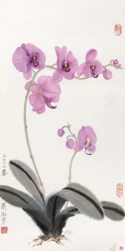 2402 2002年作 蝴蝶兰 镜心 设色纸本