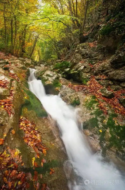 美丽的秋天风景山区河流与多彩树