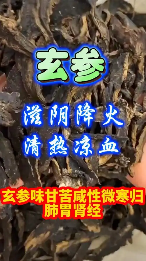 玄参的作用与功效快来学习吧