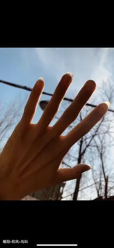 坐标杭州求一个互免摄影师希望能只拍手部的可以吗