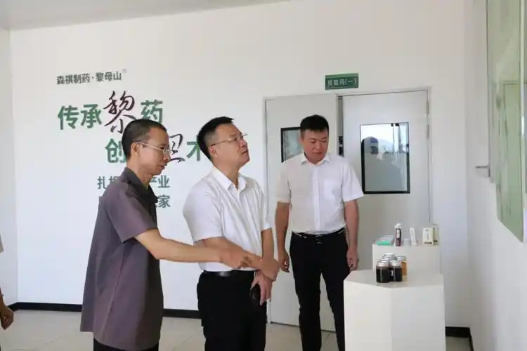 琼中法院党组书记,院长陆宁走访企业"听心声"主动问需促发展