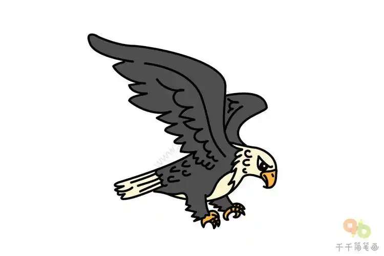 飞翔的老鹰简笔画图片