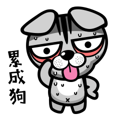 贱贱的b逗猫日常