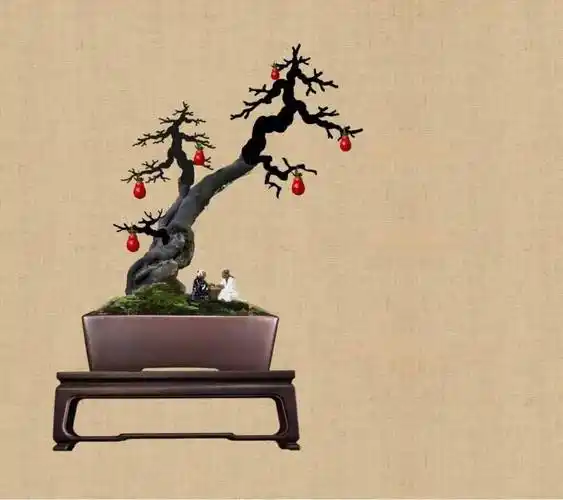 一款实用又好玩的盆景设计软件,拯救"望桩兴叹"的你!