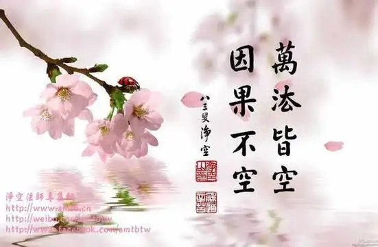 因果报应真实不虚!