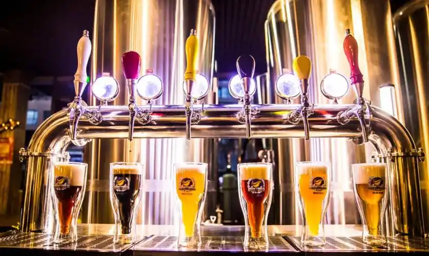 塘鹅精酿啤酒有什么特点?为什么这么受欢迎?