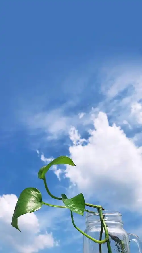 形容夏天的句子-适合夏天发的小句子,加上有感觉的壁纸配图,心情完美