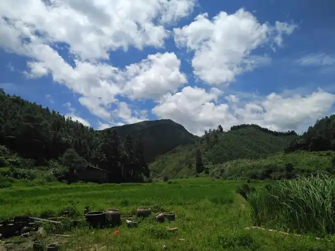 应天山生态植物园
