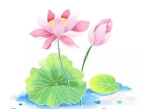 笔画图片彩色荷花简笔画作品最后涂上漂亮的颜色以上内容是关于荷叶荷