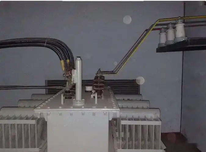 猫进入变压器房的后果 促使10kv高压断电