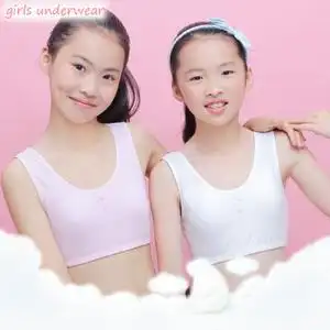 少女文胸初中学生内衣14-16岁发育期无钢圈带胸垫小背心纯棉内衣