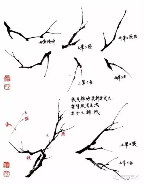 国画教程——怎样画工笔梅花|花瓣|藤黄|花青|枝干_网易订阅