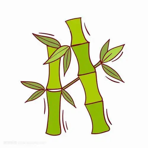 竹子卡通简笔画彩色