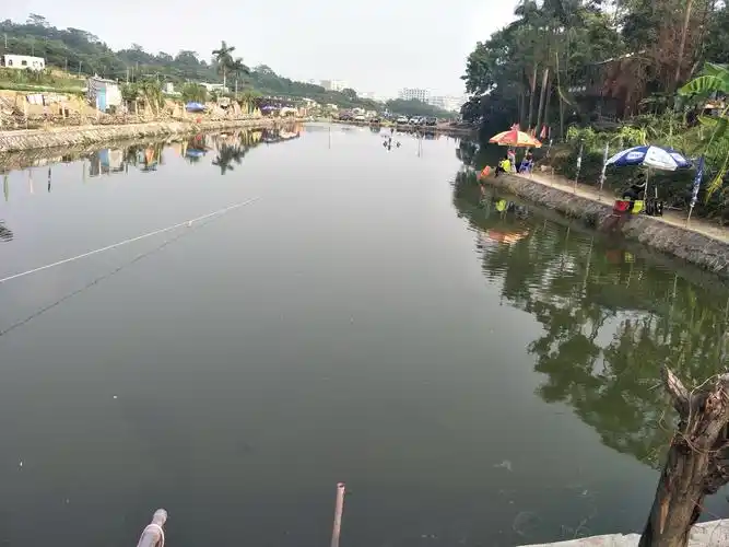 深圳农家乐钓鱼