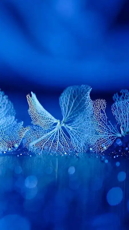 蓝色植物叶子手机端h5背景