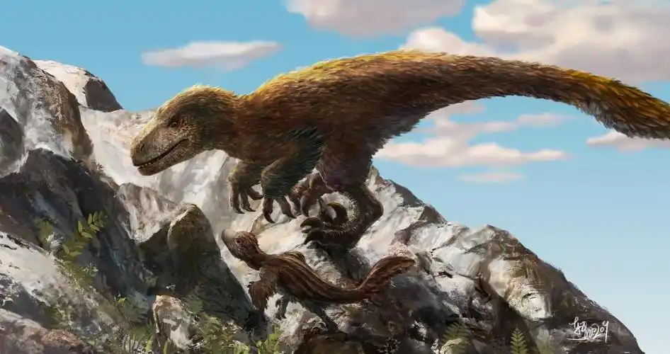 画的是犹他盗龙和孩子在岩石上的