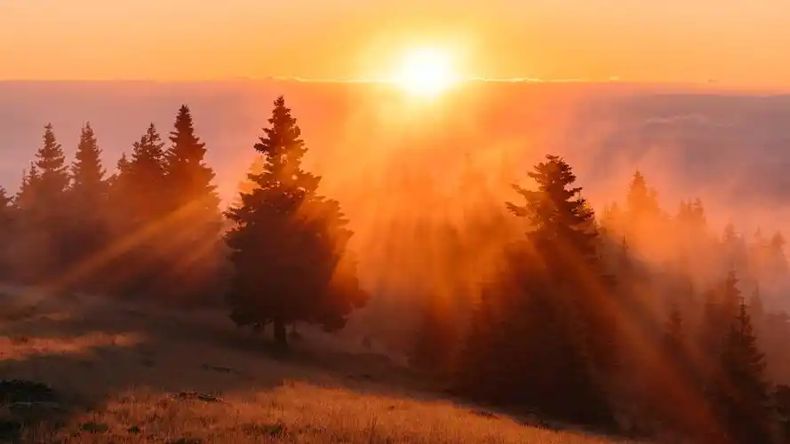 早晨唯美朝阳图片750x1334分辨率查看