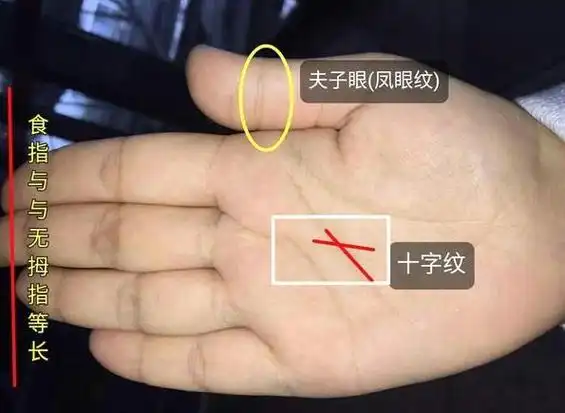 手相没有成功线 太阳线很短,无太阳线,这个是十大吉祥手相榜首,特别是