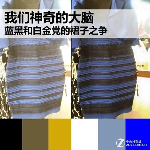 神奇的大脑 蓝黑和白金党的裙子之争_移动电源评测-中关村在线