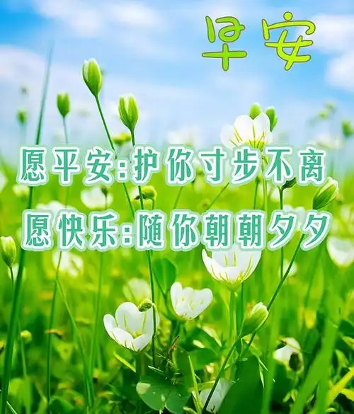 创意早安祝福语图片大全新版早安暖心问候语图片
