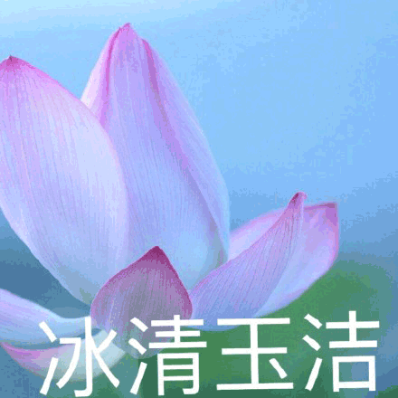 莲花沙雕莲花冰清玉洁gif动图_动态图_表情包下载_soogif