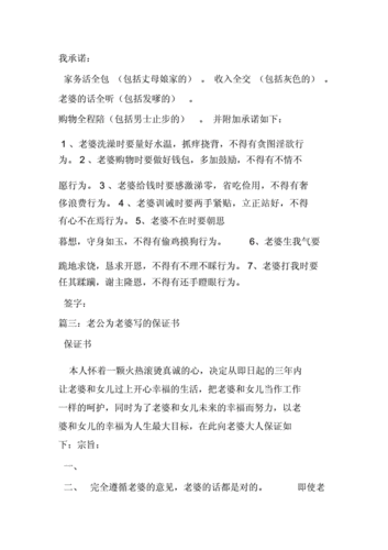 丈夫的保证书doc7页