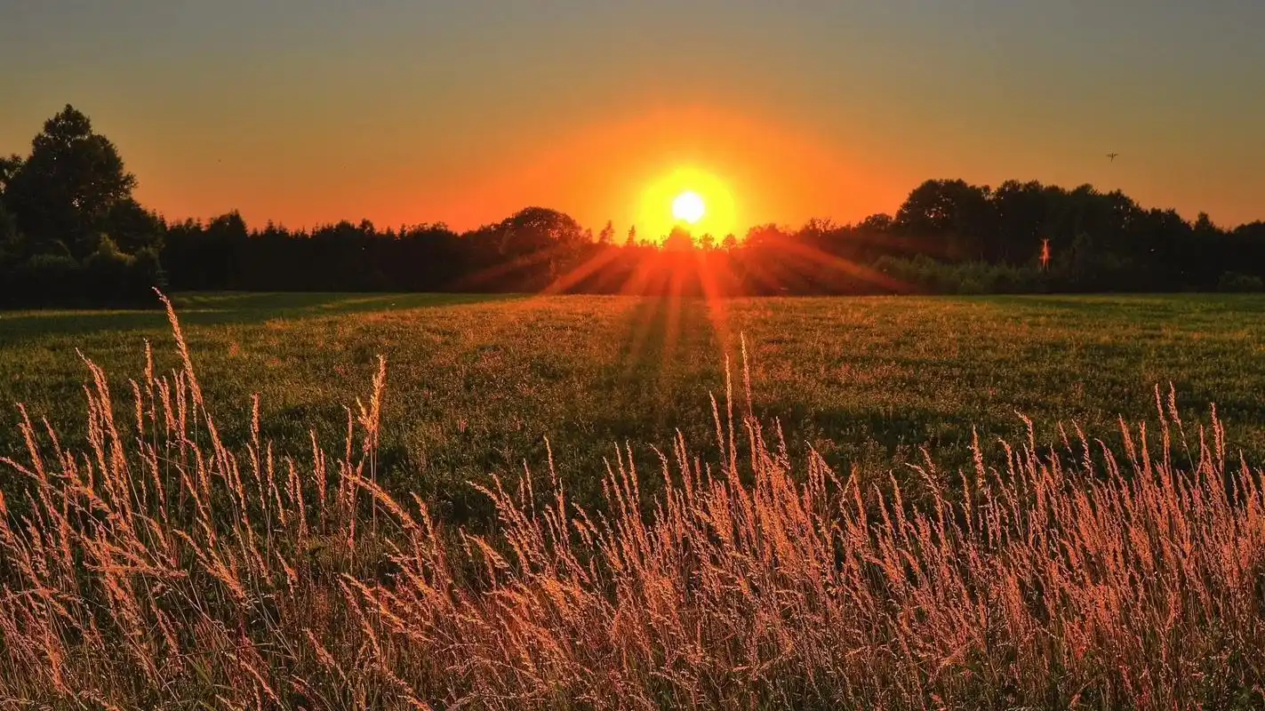 太阳.永远升起,永远热烈.#太阳 #唯美风景 #滤镜 #抖音 - 抖音