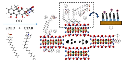c-s-sep对otc的吸附机理示意图