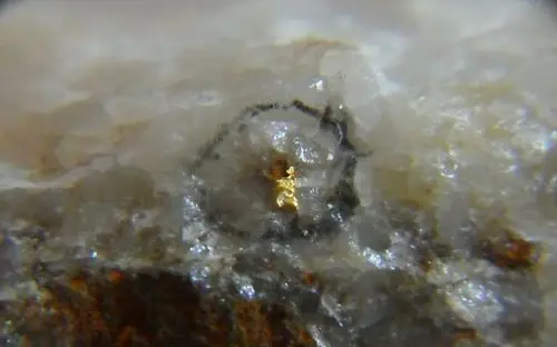 官桥金矿石英脉明金照片—1