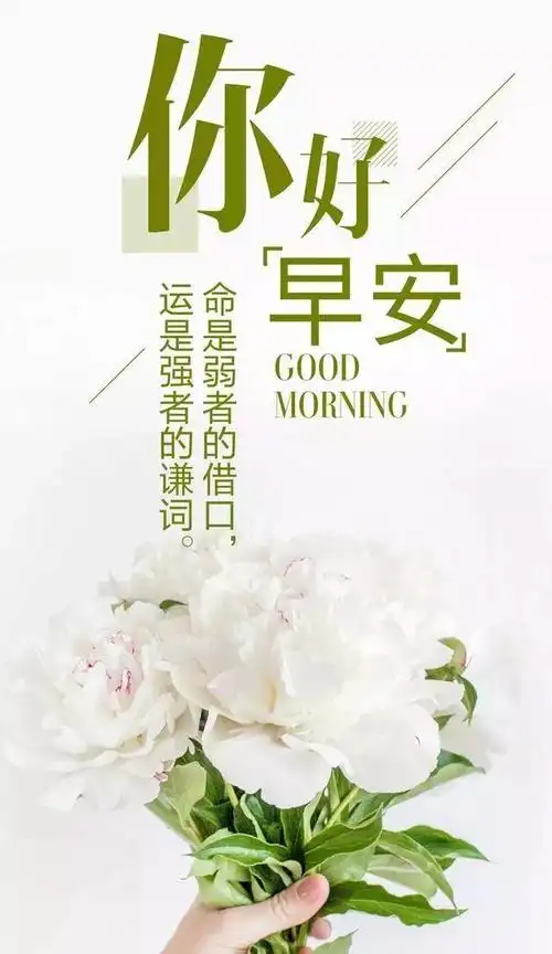 阳光早上好句子图片早上好阳光正能量的句子