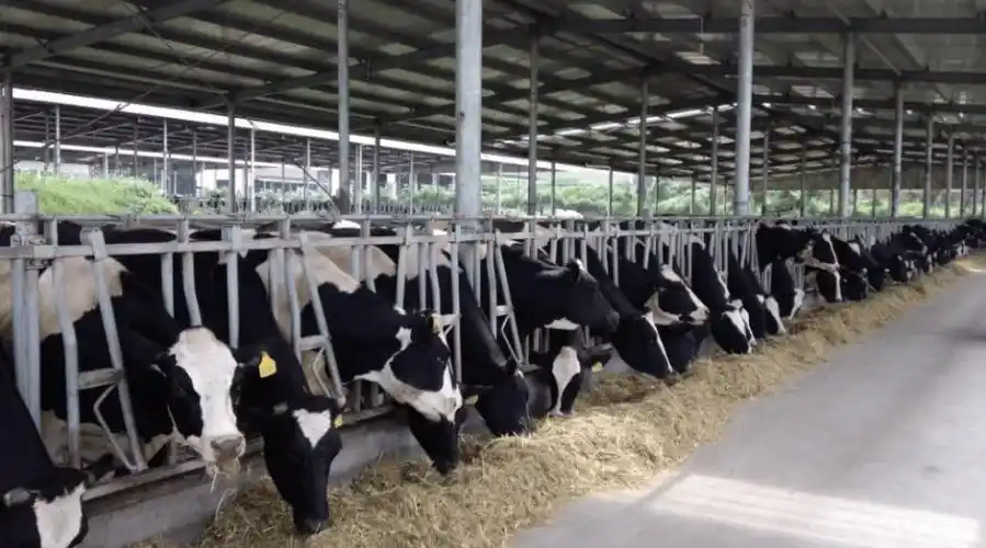 点亮乡村丨温州市发布2024年农业主导品种和主推技术