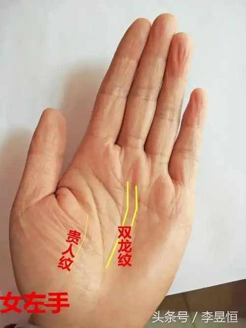 手相:双龙纹在手,钱财无忧,福禄长存!