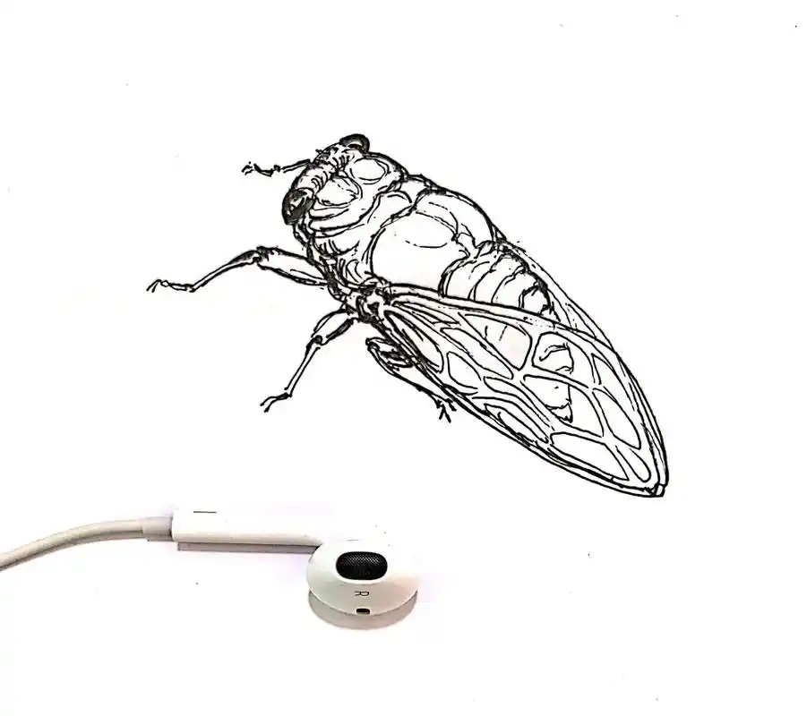 蝉速写手绘稿.蝉的绘画技法!#画画 #插画 #速写 #手绘  - 抖音