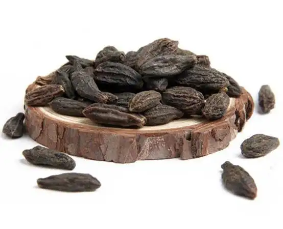 果实种子类类藏药_信誉藏药网