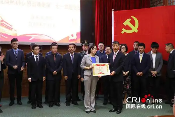 中国驻埃及使馆举行党旗照初心誓言唤使命七一主题党日活动组图