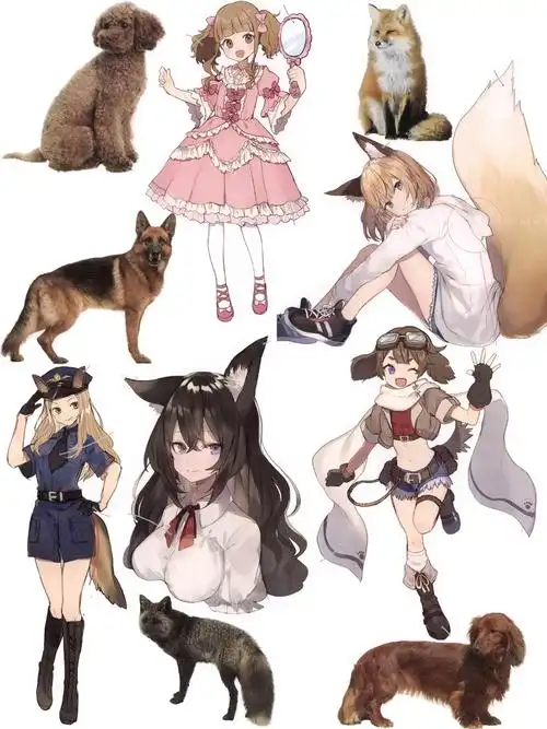 这套动物拟人教程怎么没早点发现宝藏素材