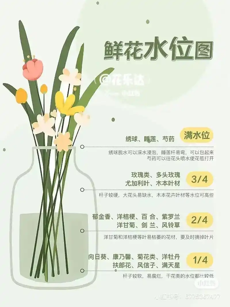 鲜花养护放在这里啦!有不明白的可以评论区里讨论 - 抖音