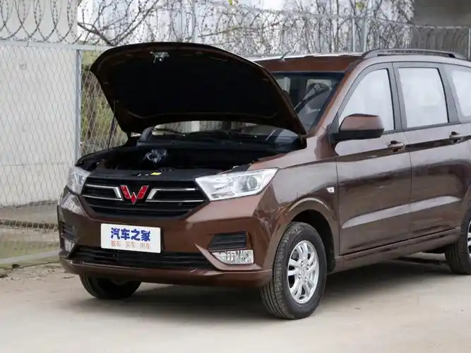 上汽通用五菱 五菱宏光 2021款 1.5l改款 s舒适型 电动助力lar