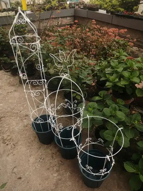 diy铁艺花架铁线莲爬架