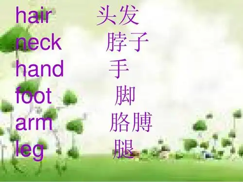 hair neck hand foot arm leg 头发 脖子 手 脚 胳膊 腿