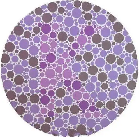 如果你是红色盲,你看到的就只是6如果你是绿色盲,你就只能看到2全色盲