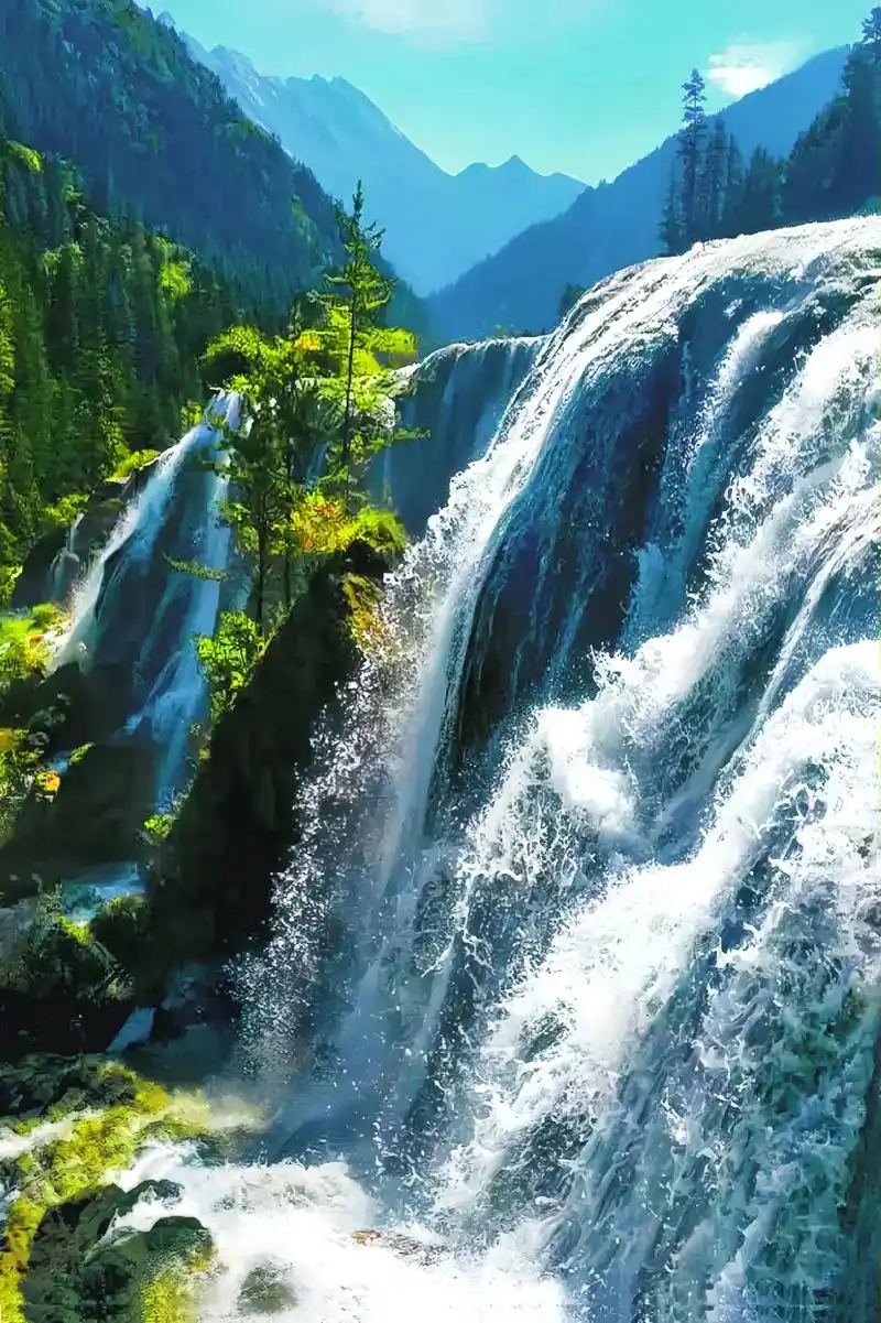 神奇的九寨-珍珠滩瀑布(1)来吧神奇的九寨!全球独一无二的网 - 抖音