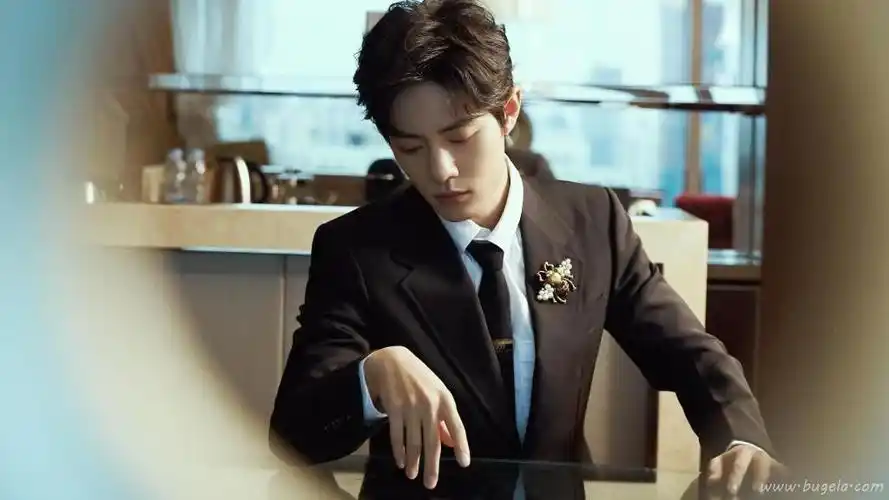 肖战精致侧颜刺绣西服帅气写真图片