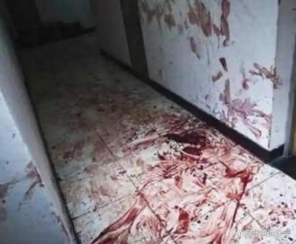大连一村子发生灭门惨案,一家六口被亲弟杀害,凶案现场惨不忍睹|凶杀